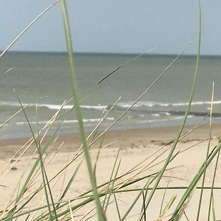 Stacaravan 4Pers In Bredene Met Eigen Tuintje 2449 外观 照片