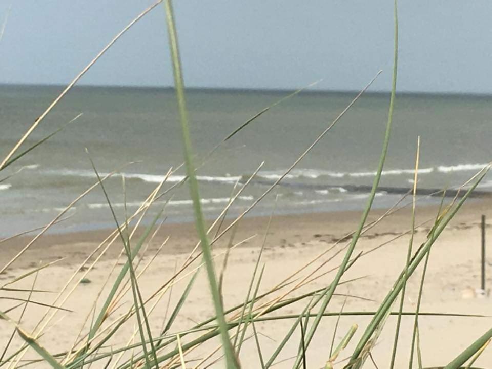 Stacaravan 4Pers In Bredene Met Eigen Tuintje 2449 外观 照片