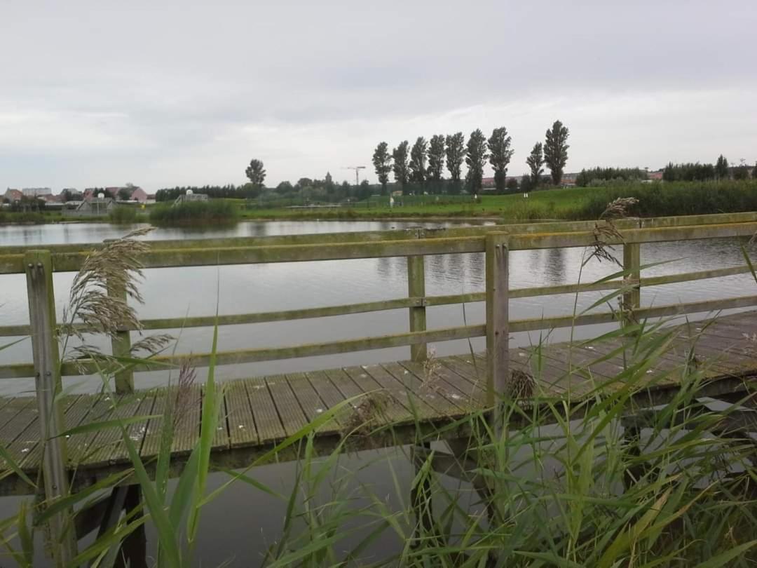 Stacaravan 4Pers In Bredene Met Eigen Tuintje 2449 外观 照片