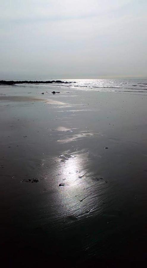 Stacaravan 4Pers In Bredene Met Eigen Tuintje 2449 外观 照片